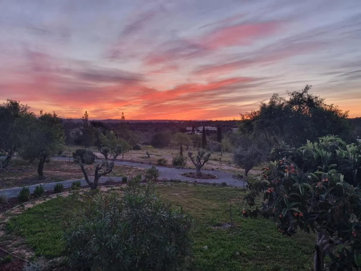 Eco Lodge Villa Das Alfarrobas Com Piscina Algoz