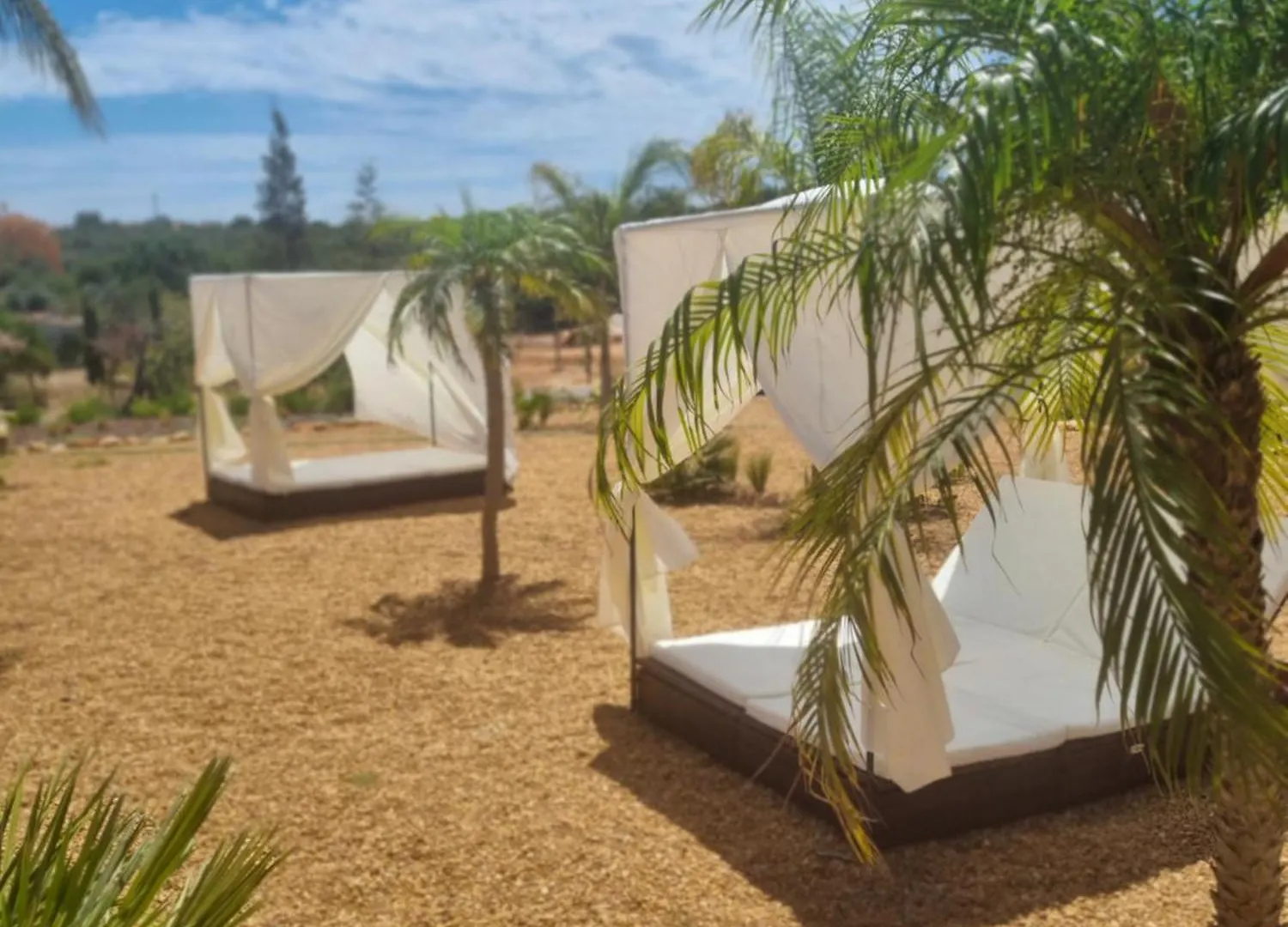 Luxury tent Eco Lodge Villa Das Alfarrobas Com Piscina Algoz